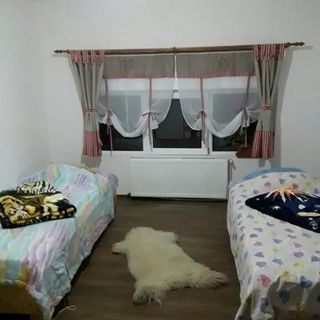 Pensiunea Perla Neagră Lotus Spa Câineni-Băi (2)