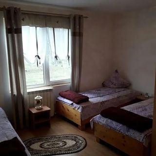 Pensiunea Perla Neagră Lotus Spa Câineni-Băi (4)