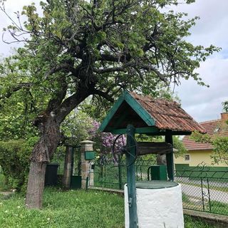 Csicseri Vendégház Cserépfalu (2)