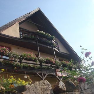 Cabana Ada 2 Vârtop (2)