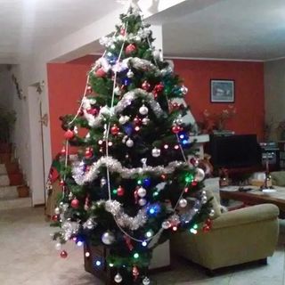 Pensiunea Acasă Bran (4)