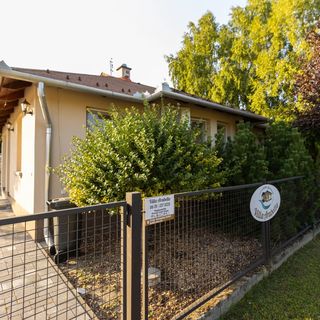 Villa Arabella Dunapataj (2)