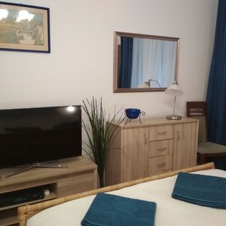 Zsuzsa Apartman Budapest (3)