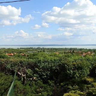 Vadvirág Vendégház Lovas (3)