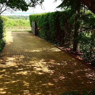 Vadvirág Vendégház Lovas (4)