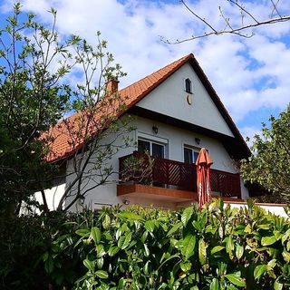 Vadvirág Vendégház Lovas (5)