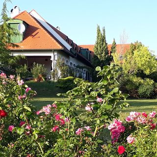 Deák Vendégház Dörgicse (5)