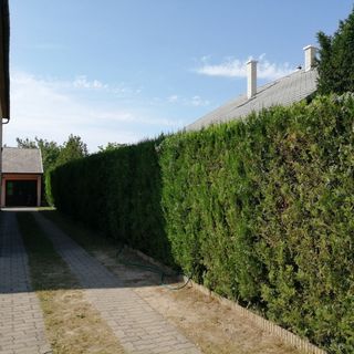 Ticiano Vendégház Siófok (5)