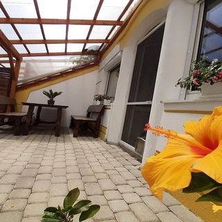 Thermal Garden Apartman Mosonmagyaróvár (3)