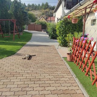 Maja & Anna Vendégház Bogács (4)