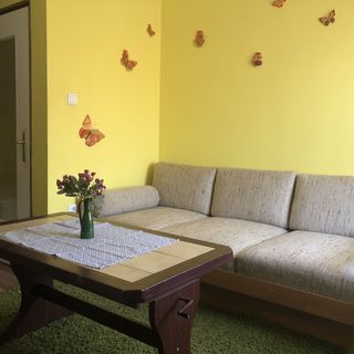 Viola Vendégház Mezőkövesd (2)