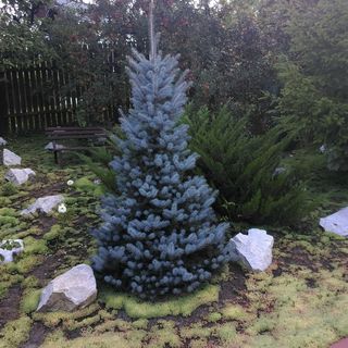 Vila Paula Sovata (5)