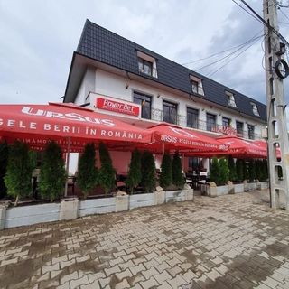 Pensiunea Classic Beceni (4)