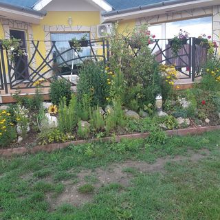 Gócza Apartman Zamárdi (5)