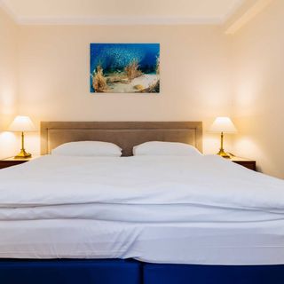 Apartments TGM 11 Karlovy Vary (4)