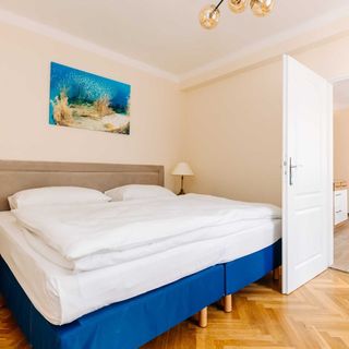 Apartments TGM 11 Karlovy Vary (5)