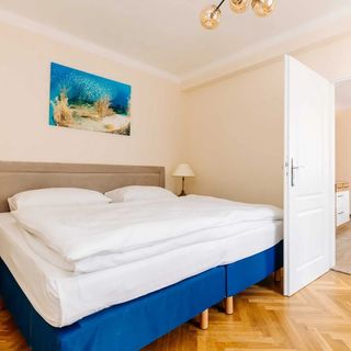 Apartments TGM 11 Karlovy Vary (5)