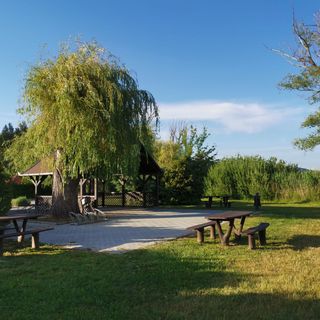 Katica Apartman Csopak (2)