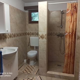 Casa de oaspeți Henrietta Borzont (4)