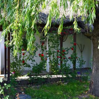 Nádas Julcsa Vendégház Tiszabábolna (2)