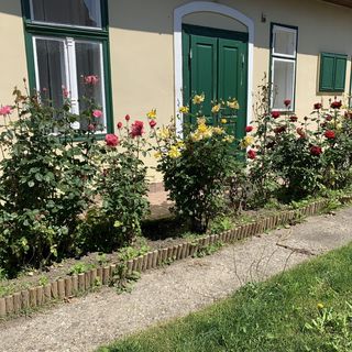 Kertész-ház Apartman Eger (3)