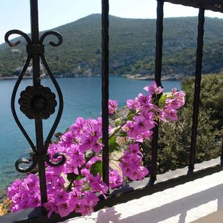 Apartman Nikola Uvala Pokrivenik (4)