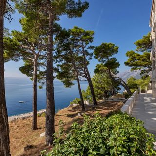 Apartman Anka Brela (4)