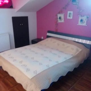 Pensiunea Sole Mio Păulești (2)