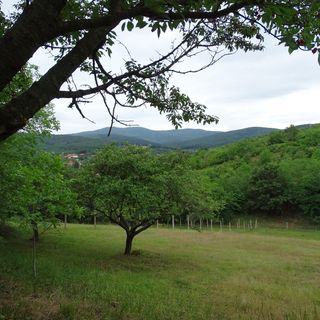 Kemencésház Noszvaj (4)