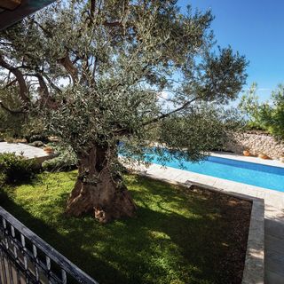 Nyaralóház Medencével Lun, Pag - 18321 Lun (5)