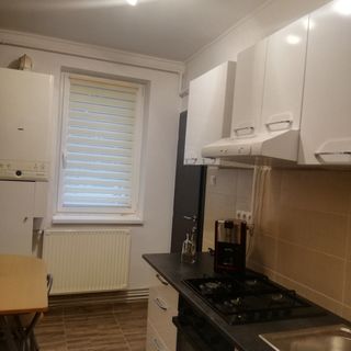 Apartament Orsi Sovata (5)