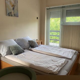 Csilla Apartman Soltvadkert (5)