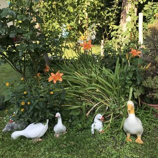 Anyós Vendégház Szigetszentmárton (2)