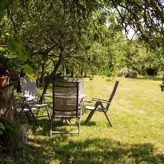 Barna Faház Tarnaszentmária (5)