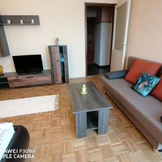 Zöld Béka Hőforrás Apartman Hajdúszoboszló (2)