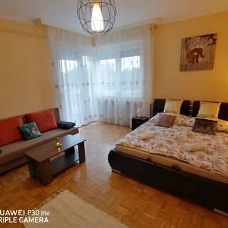 Zöld Béka Hőforrás Apartman Hajdúszoboszló (3)