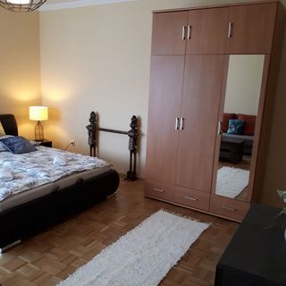 Zöld Béka Hőforrás Apartman Hajdúszoboszló (5)
