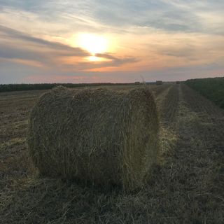 Virág Varázs Vendégház Nagymányok (3)