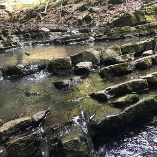 Virág Varázs Vendégház Nagymányok (4)