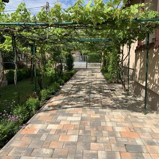 Liliom Apartman Mezőkövesd (5)