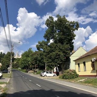 IL-LAK Apartman Pannonhalma (3)