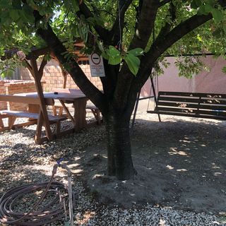 Bettina Vendégház Kiskőrös (5)