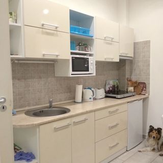 Lara Apartman Budapest (2)