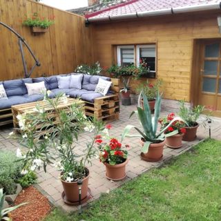 MohApartman Gyöngyössolymos (5)