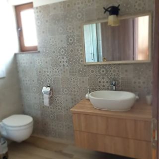 Pensiunea Micul Paradis Medieșu Aurit (5)