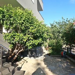 Apartment Marko Starigrad (5)