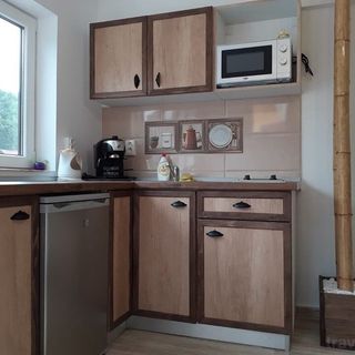 Apartament Bambus Sovata (4)