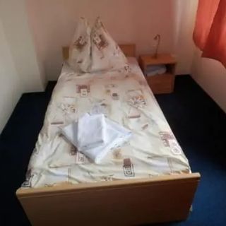 Pension U Zámku Habartov (5)