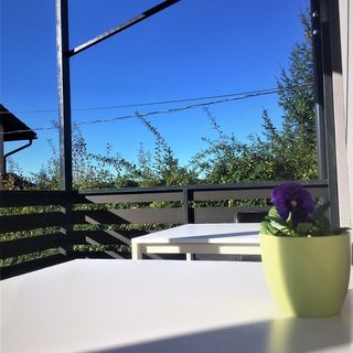 Water Lily Boutique B&B Hévíz (2)