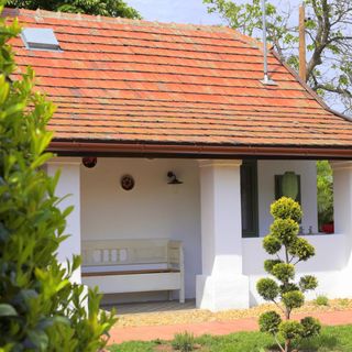 Fekete Gólya XL Tiszafüred (2)